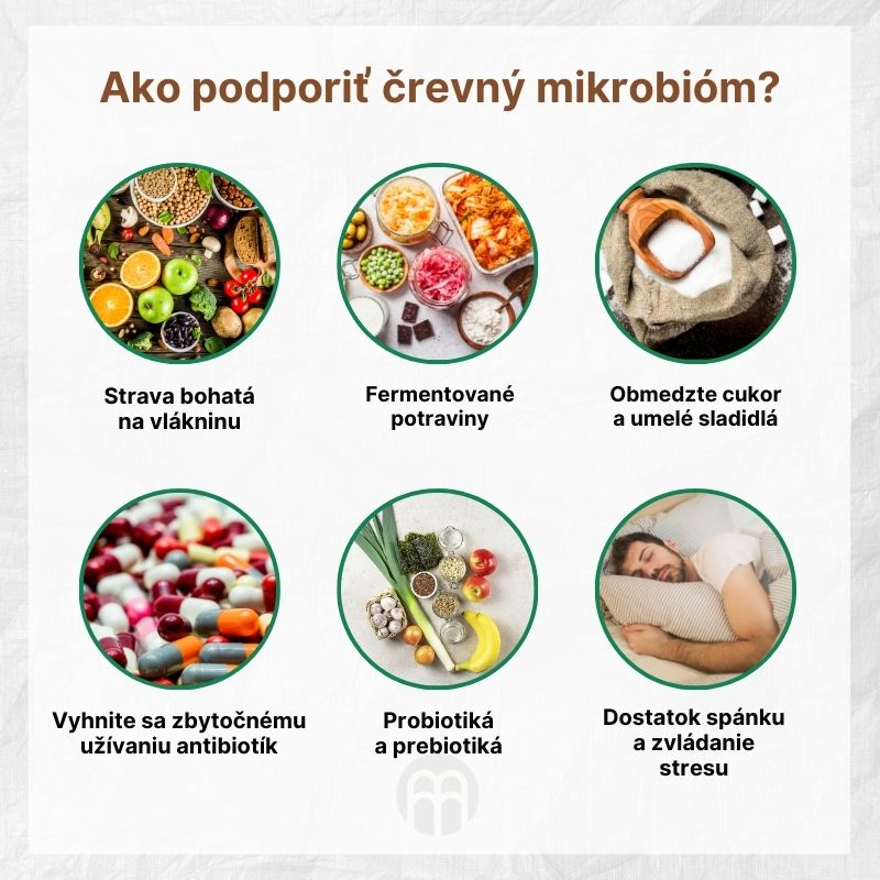 (Slovenčina) Jak střevní mikrobiom podpořit